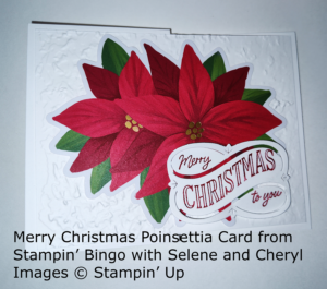 Poinsettia Z-Fold card with the sentiment Merry Christmas to you